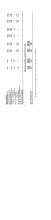 NYNH&H 1956-10-28 Engine Assignment